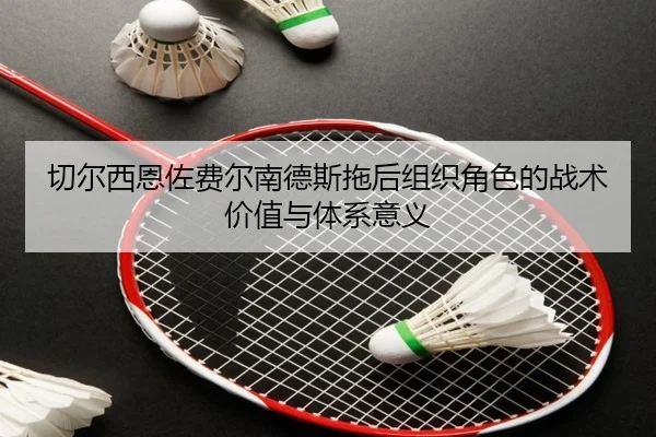切尔西恩佐费尔南德斯拖后组织角色的战术价值与体系意义